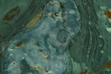 Gary Green Jasper (Larsonite) Bog Wood Section - Oregon #377934-1